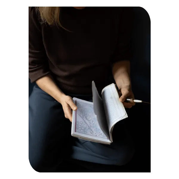 Ellen Emotion Flow Method