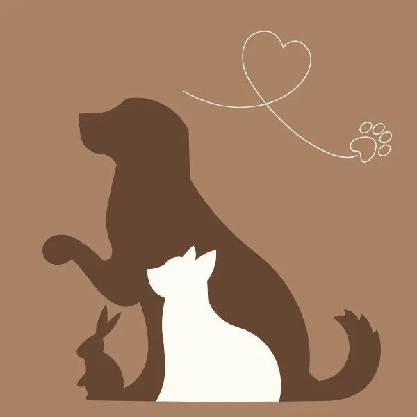 Animals Emotion Flow Method