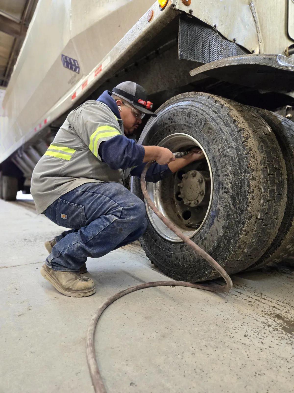 blue and green peacock feather