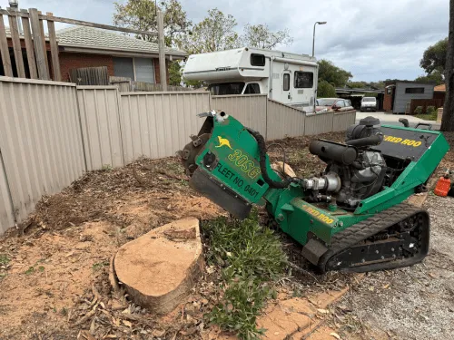 Stump Grinding in Macedon Ranges