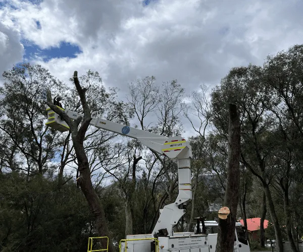 Mulching Macedon Ranges