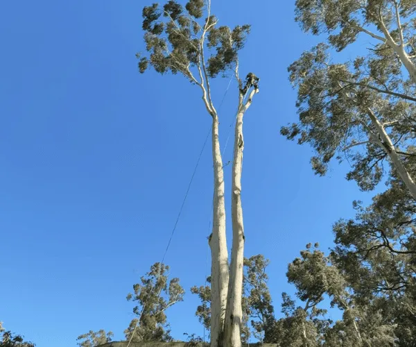  Macedon Ranges