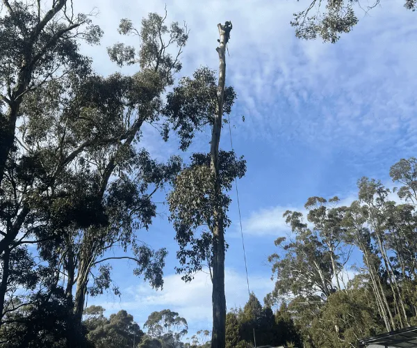  Macedon Ranges