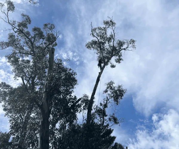  Macedon Ranges