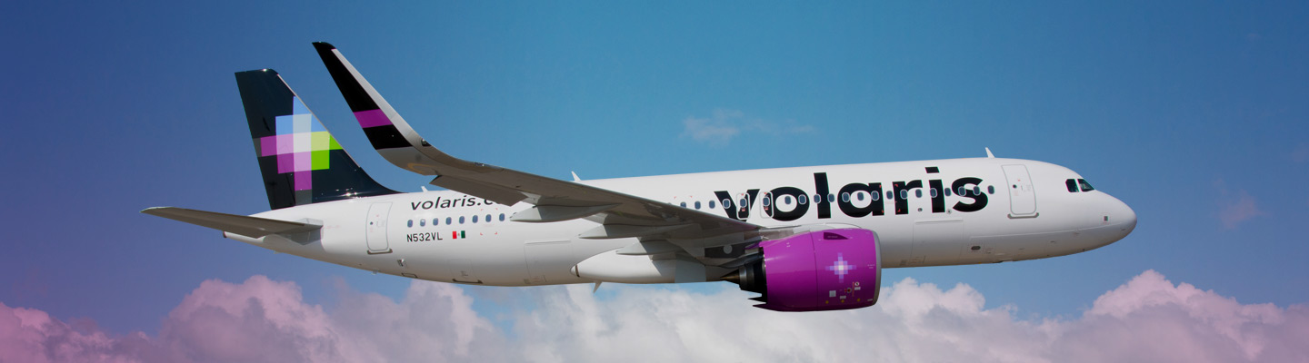 American airlines airplane flying in the sky