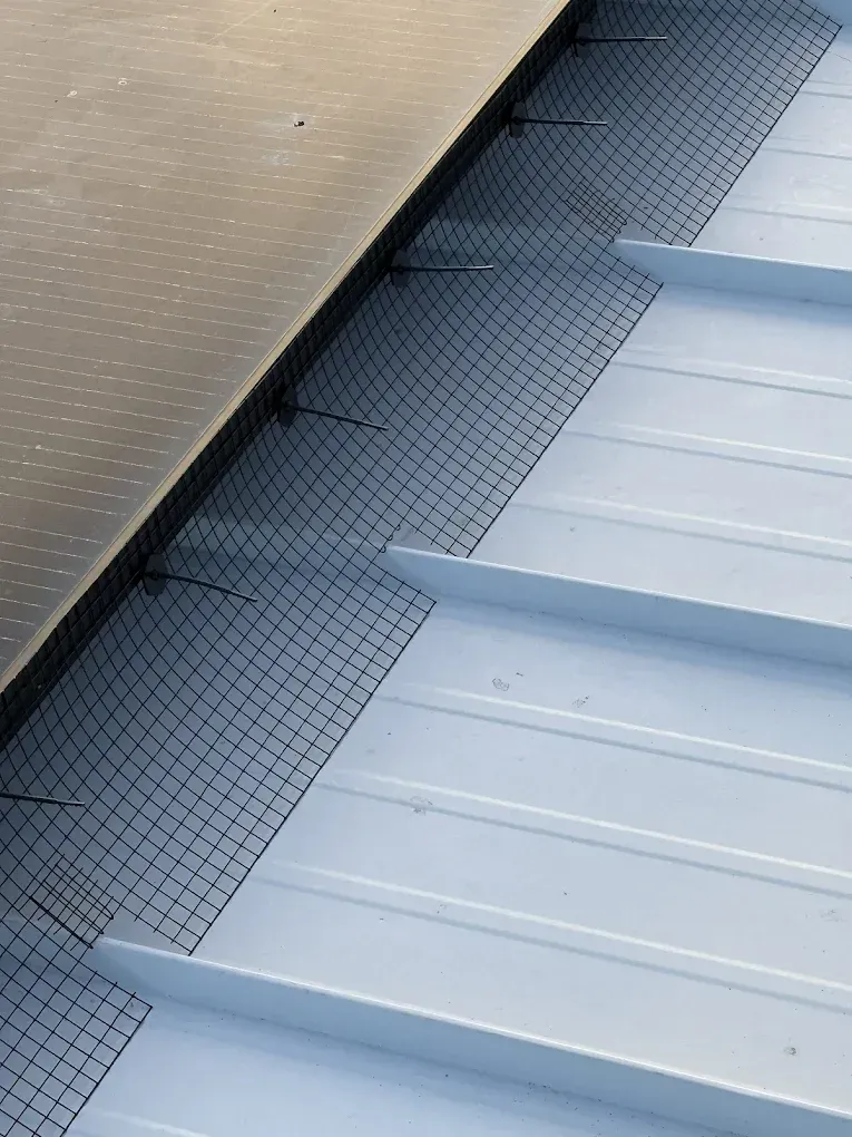 Bird Proofing in El Centro