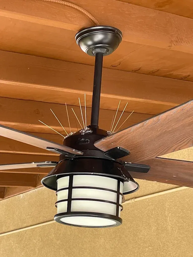 Bird Deterrents in El Centro
