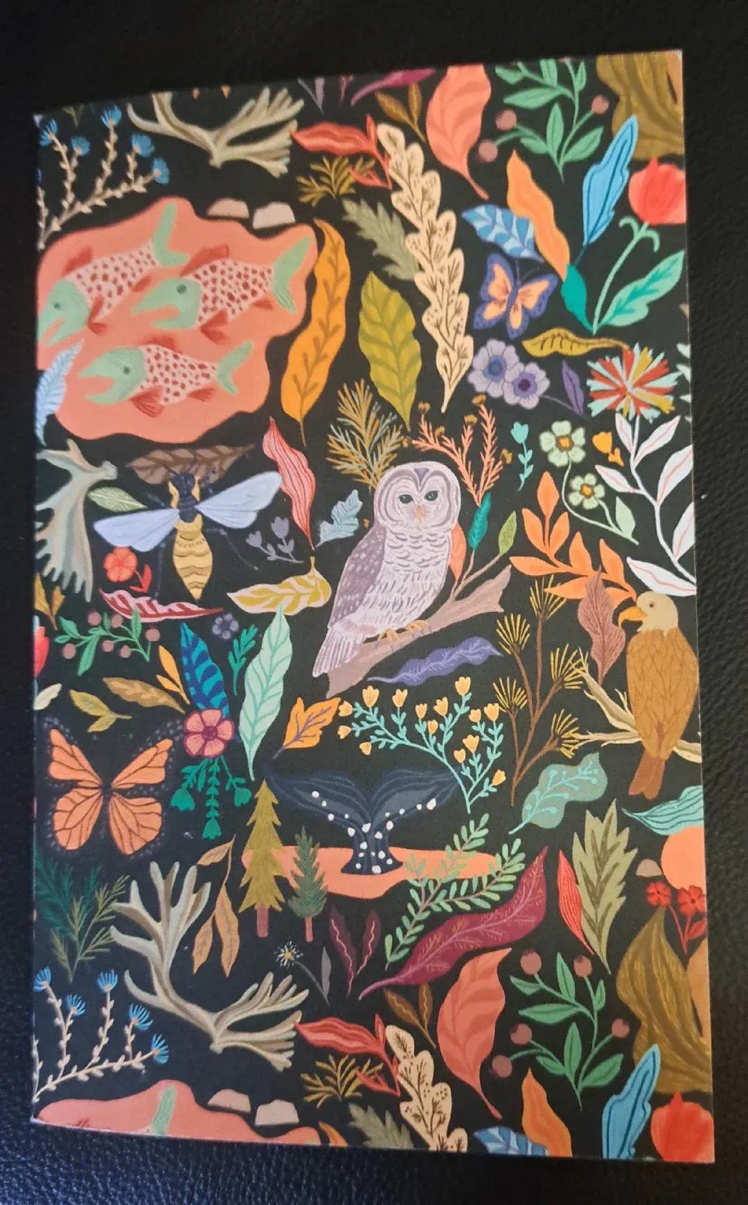 The First Letter from Goodie, Welcome