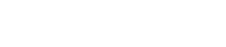 Annett Koenig Logo