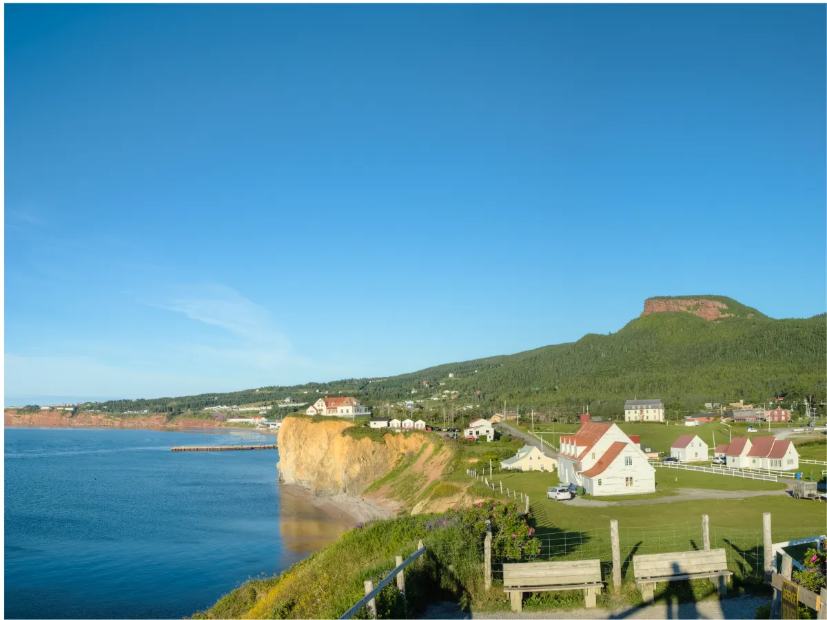 two people sitting during day