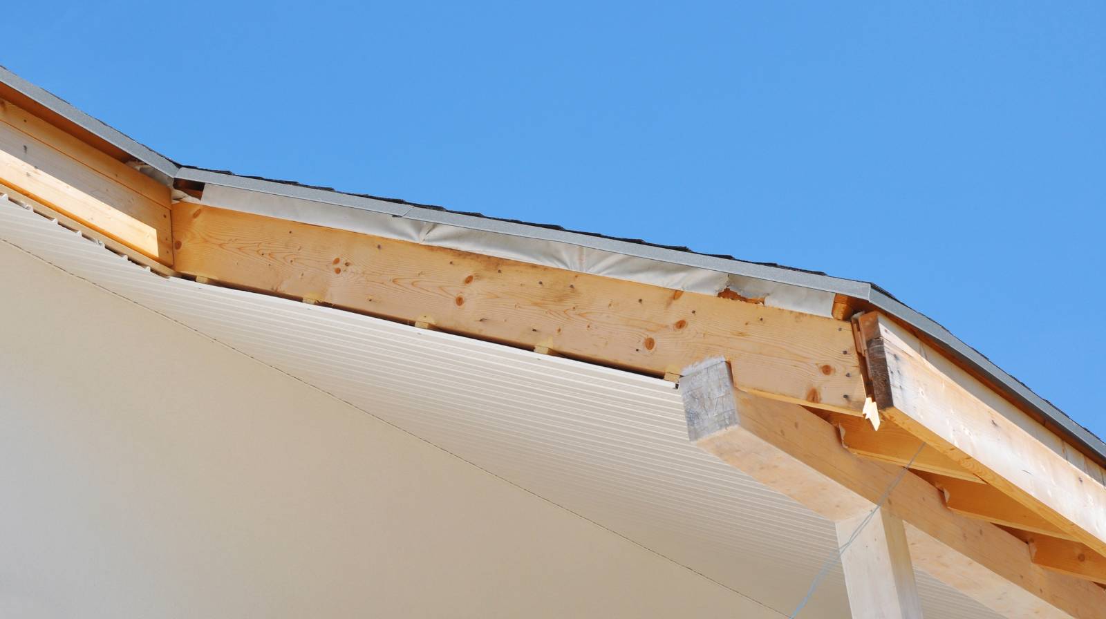 Termites or Rot? Identifying Damage in Your Fascia Boards During Gutter Cleaning