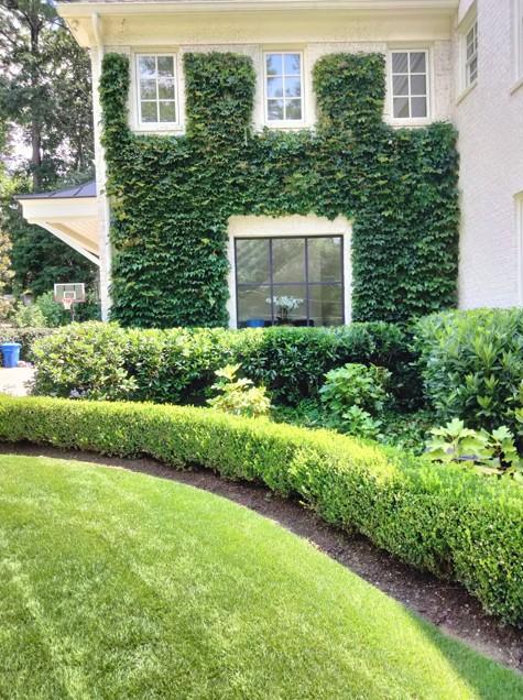 Front yard with professional landscaping, fresh mulch, and ivy growing along a brick wall