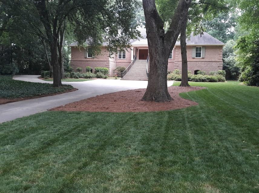 Large front yard with mature shade trees and a wide stretch of freshly cut grass