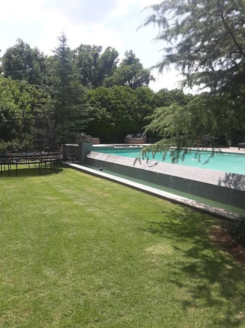 Backyard with clean grass lines and a clear blue swimming pool surrounded by tidy green space