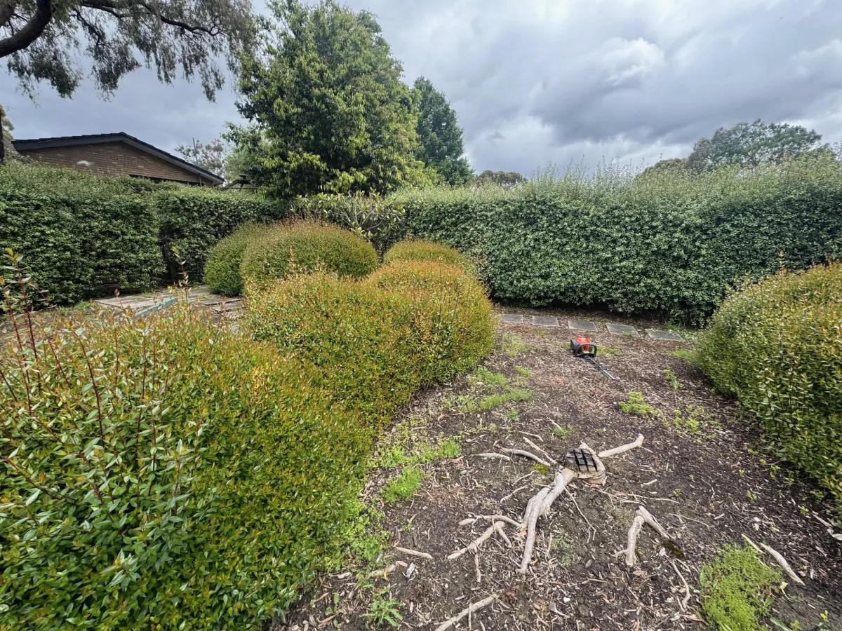 Property Maintenance Ellenbrook