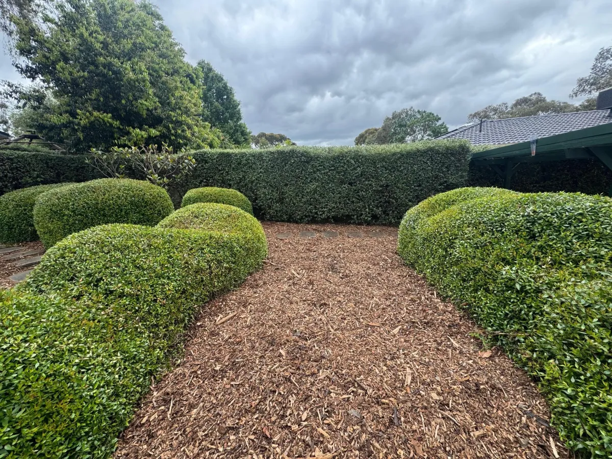 Property Maintenance Ellenbrook