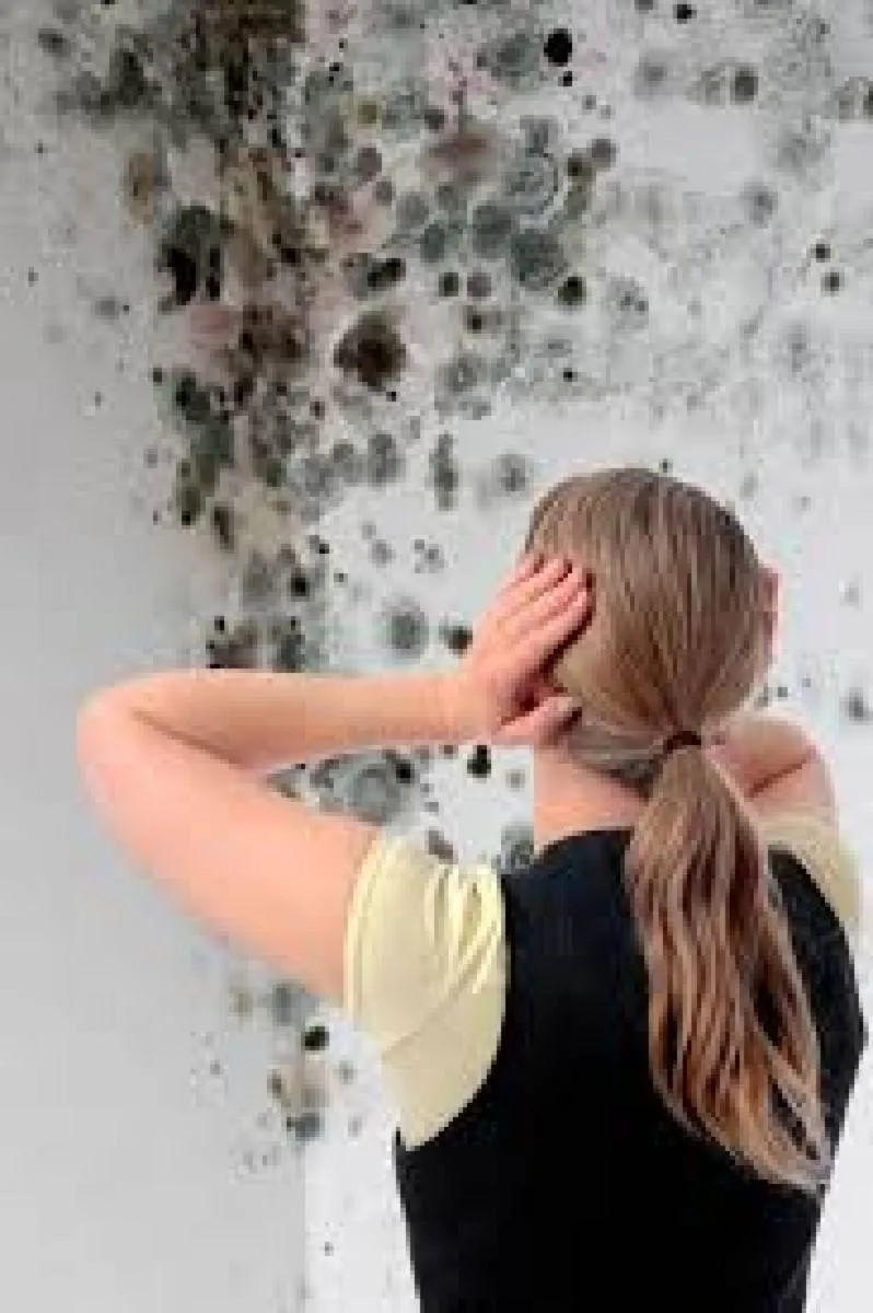 mold remediation Richmond