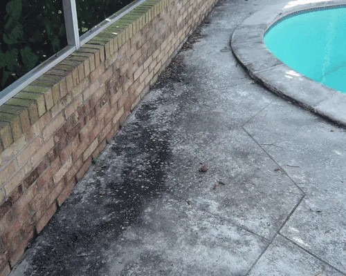 Driveway Pressure Washing