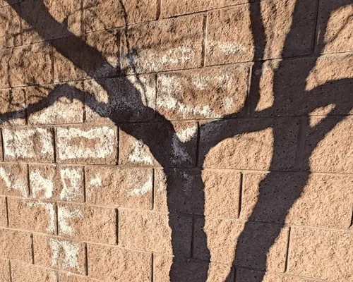  Hard Water Stain & Efflorescence Treatment