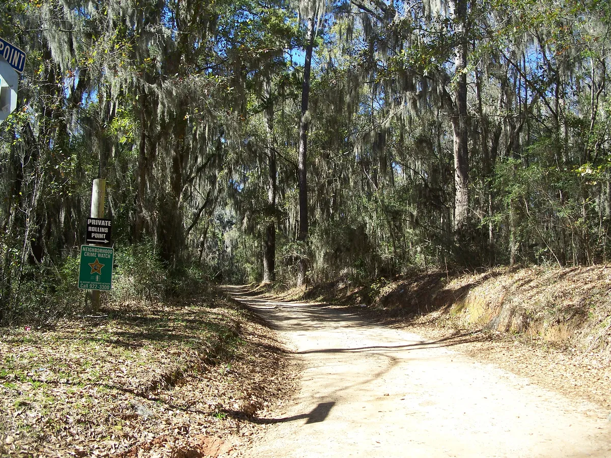Staying in Tallahassee for Weeks? Your Guide to Extended-Stay Car Rentals with Purpose Avenue Rental Cars