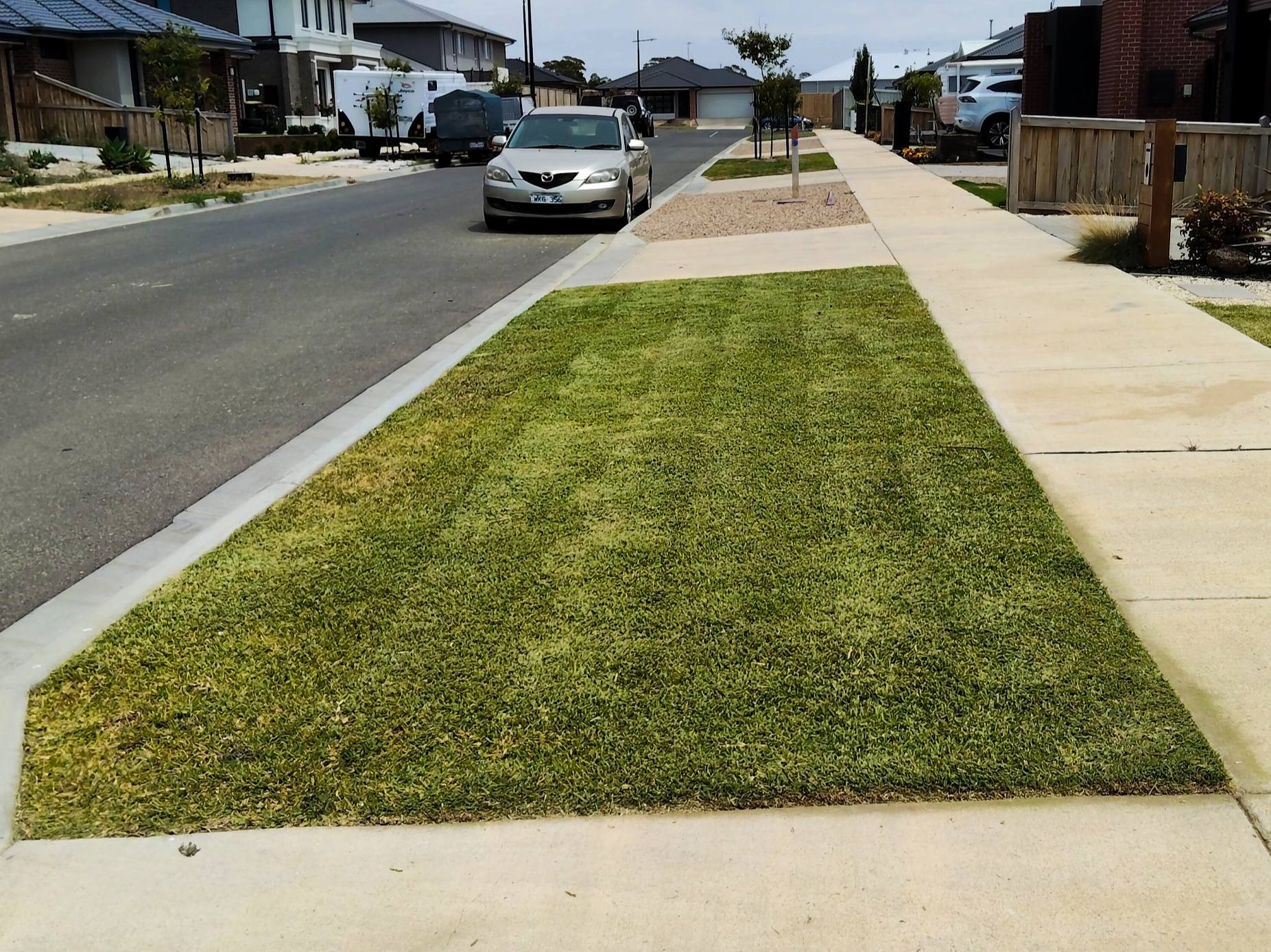 a freshly cut lawn