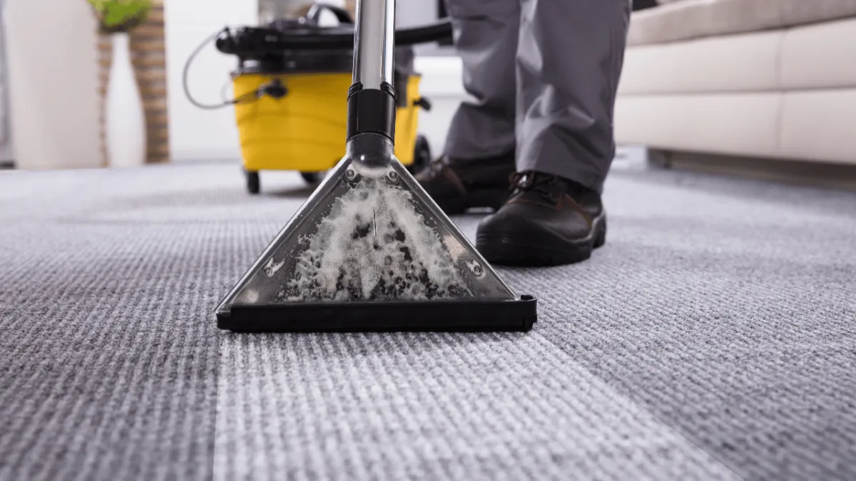 Maid Service Today Carpet Cleaning Deals