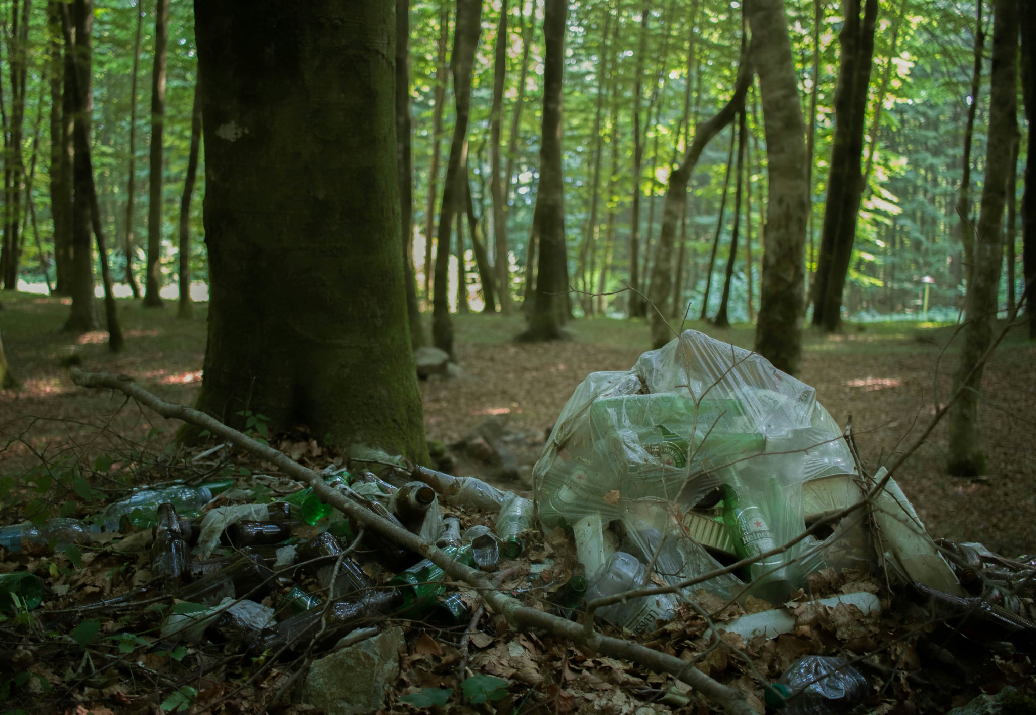 plastic bag nd plastic bottles dumped in a tree forest