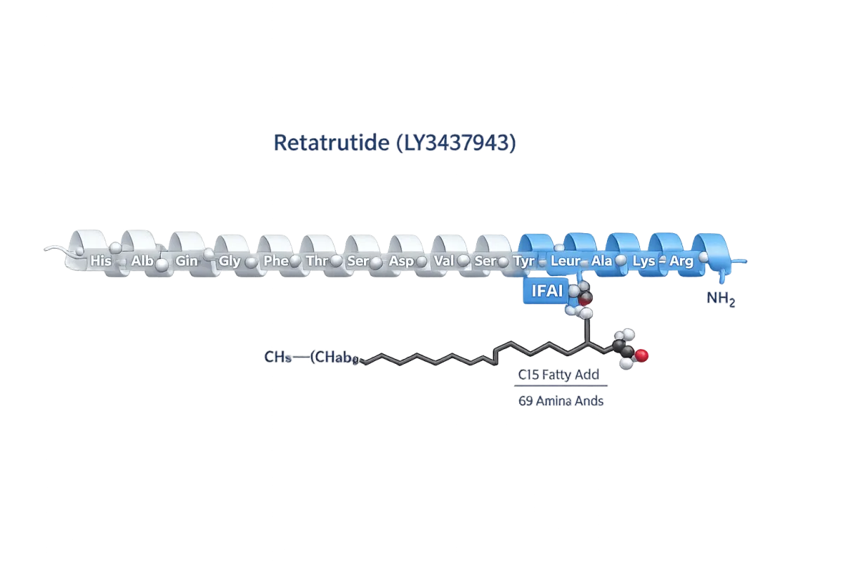 3D ribbon molecular visualization of Retatrutide