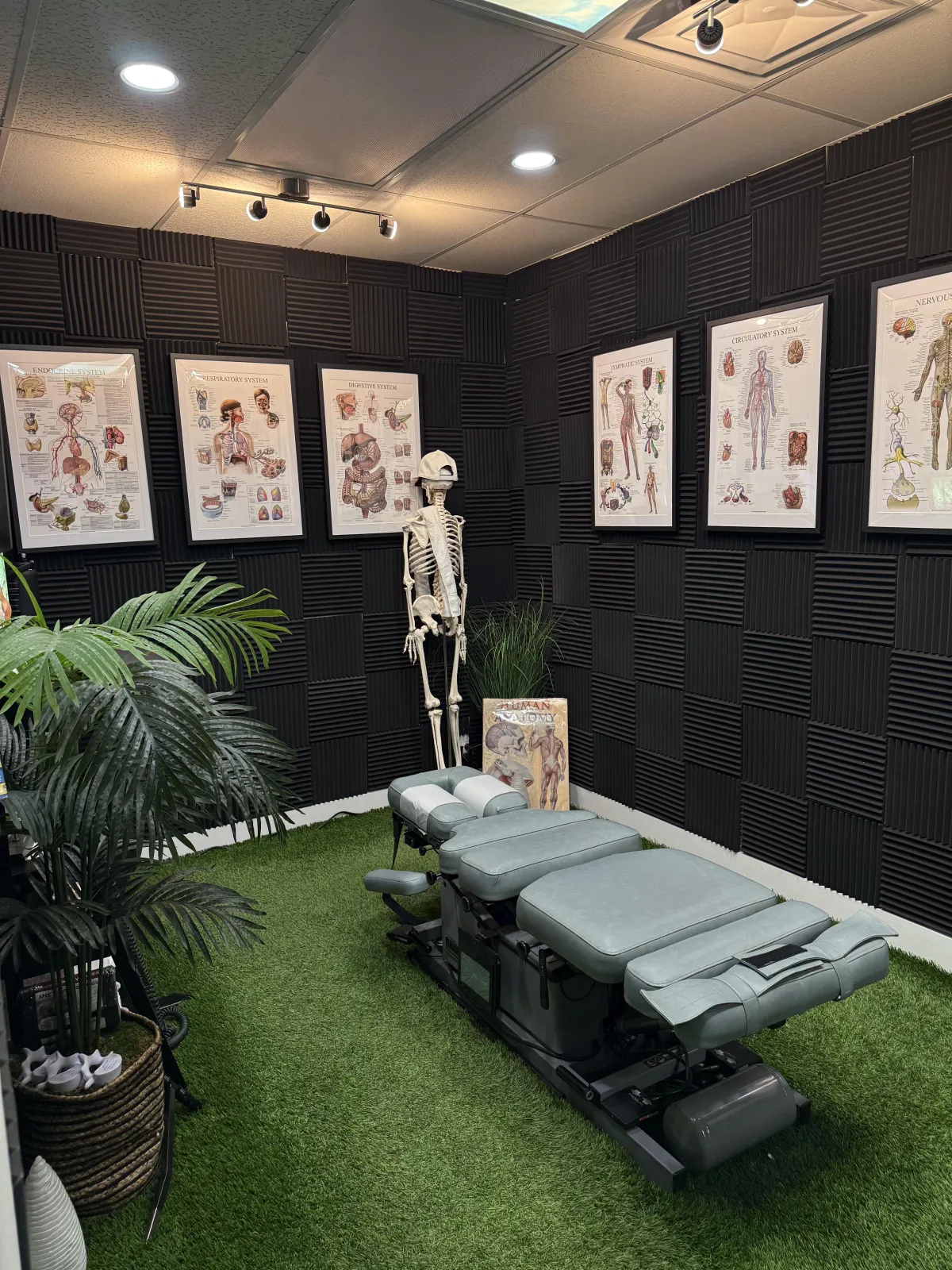 Chiropractic 