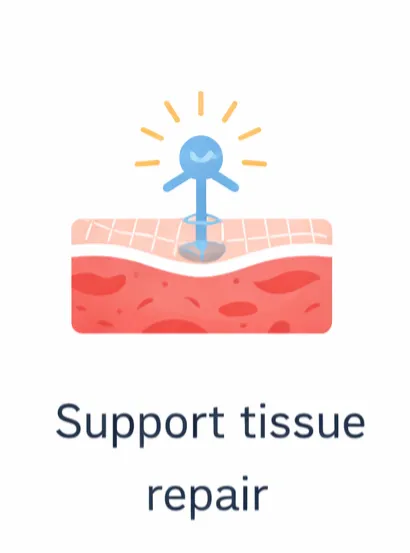 support tissue