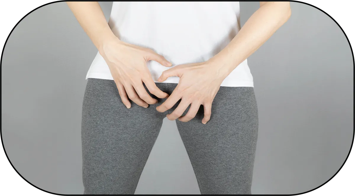 Pelvic Floor Health Technology