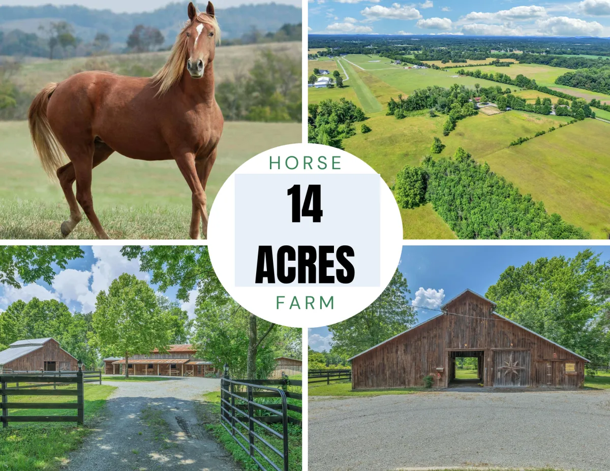 590 Squire Jones Bell Buckle, TN