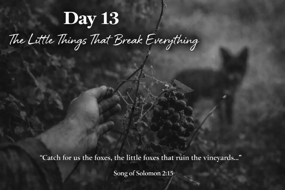 Day 13 – The Little Things That Break Everything