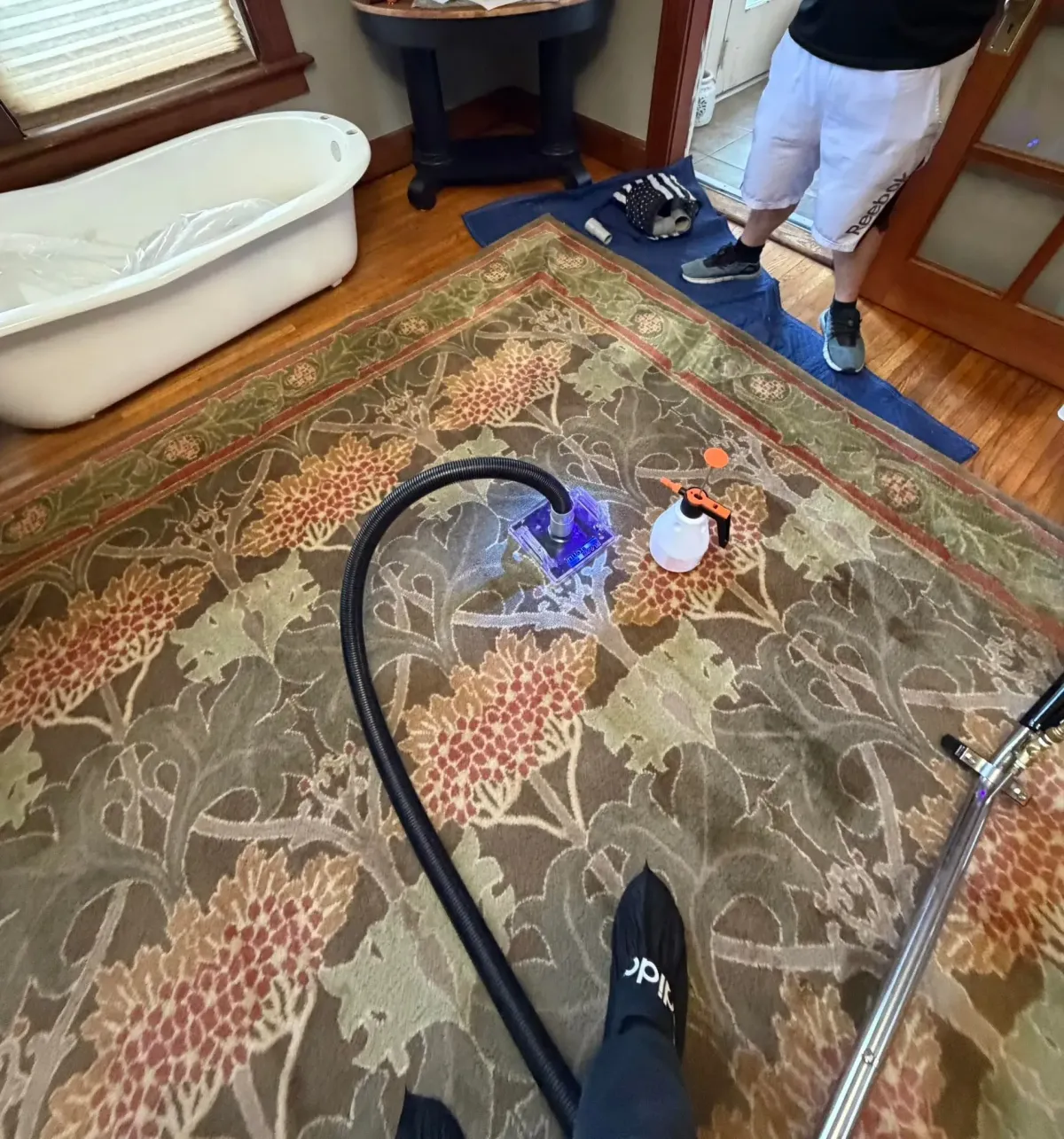 Owner Dan Robinson Best Steam Clean