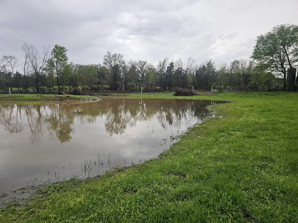 redesigned pond