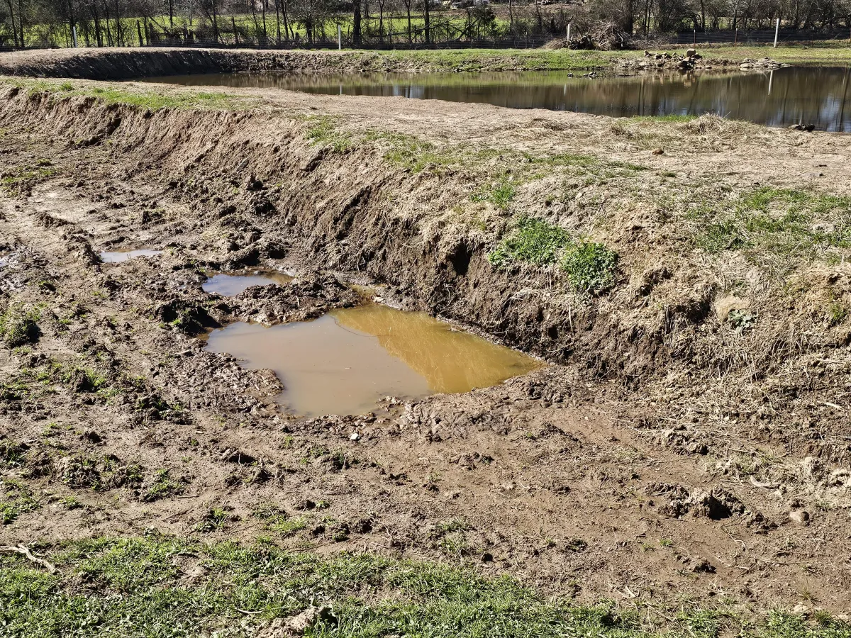 Watershed Management