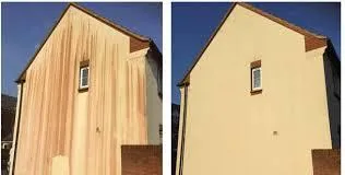 Softwash Render Cleaning in somerset yeovil bridgwater taunton wells street crewkerne bath frome glastonbury shepton mallet