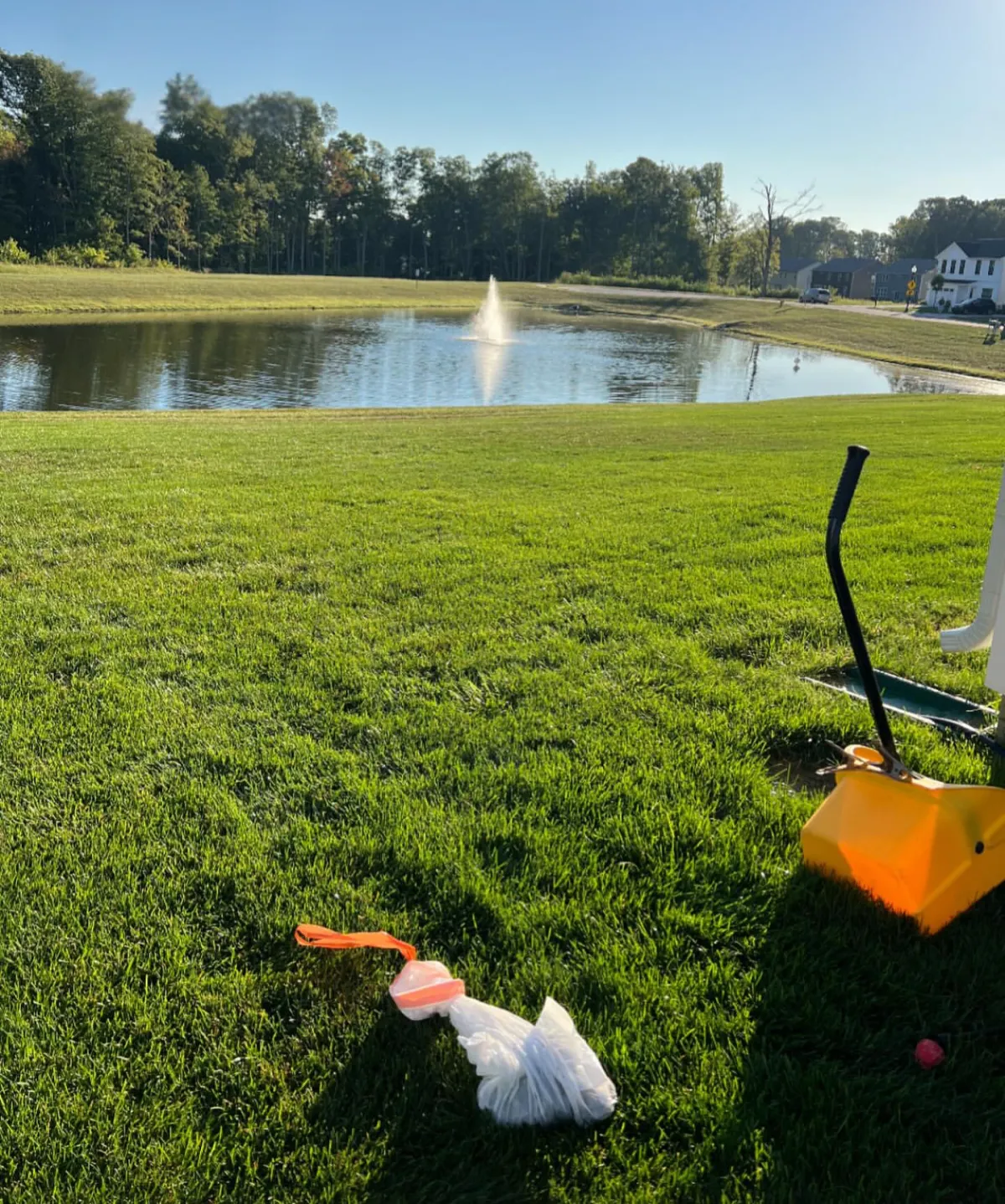 Clean yard with a water fountain after Purge Pros made sure it was clean and clear of any dog waste.