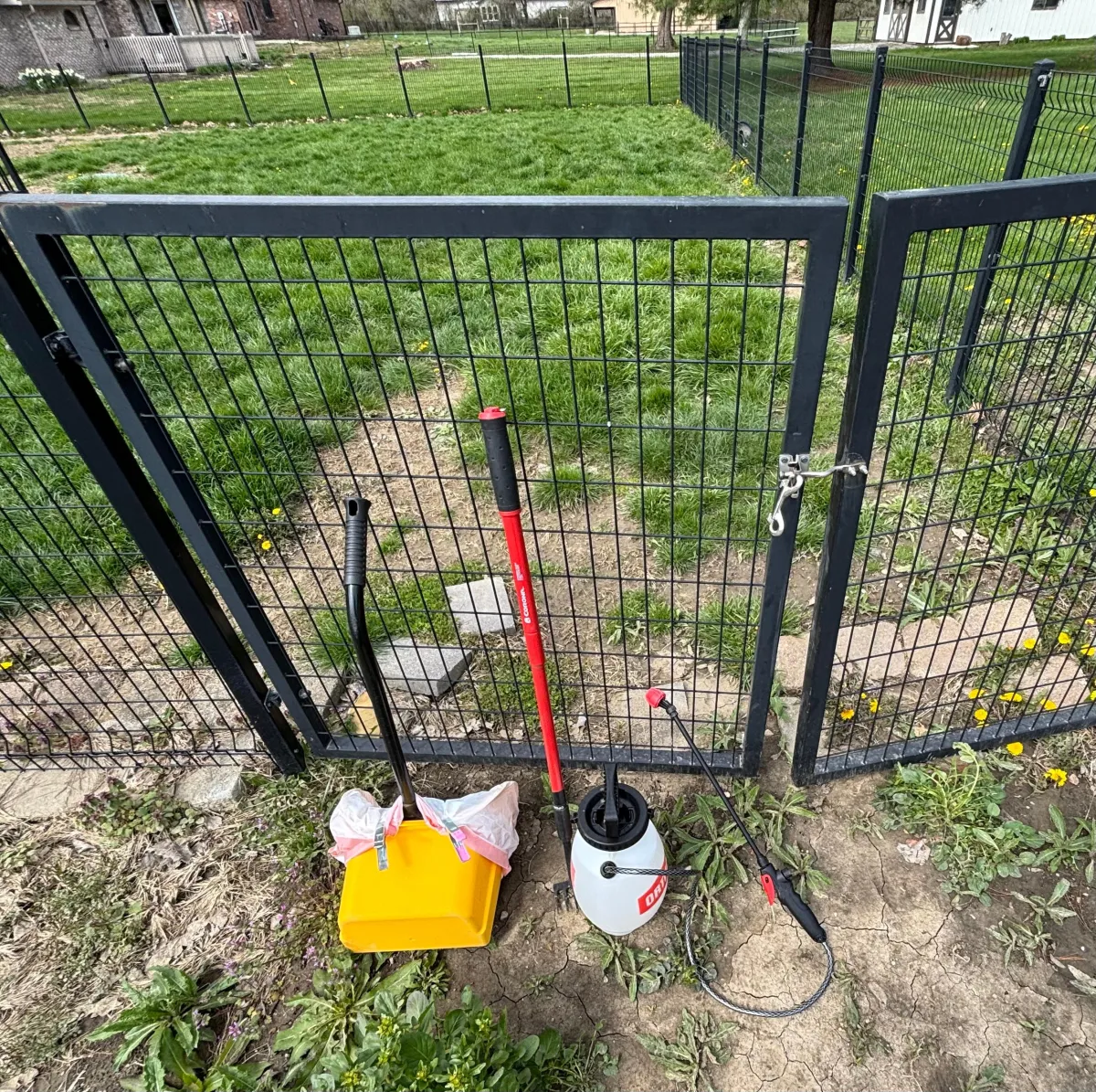 Getting ready to scoop the poop in another yard.