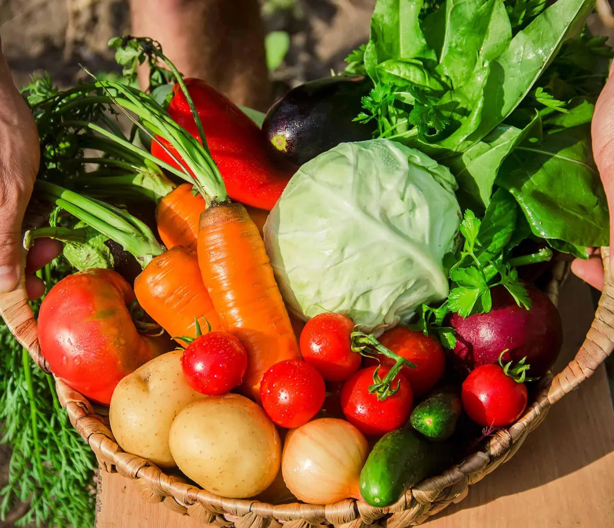 Organic food in a basket