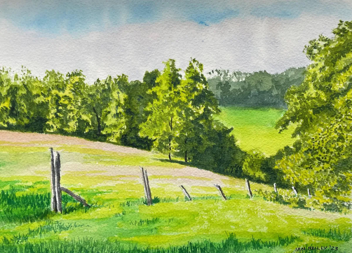 Green Assault in Hampshire