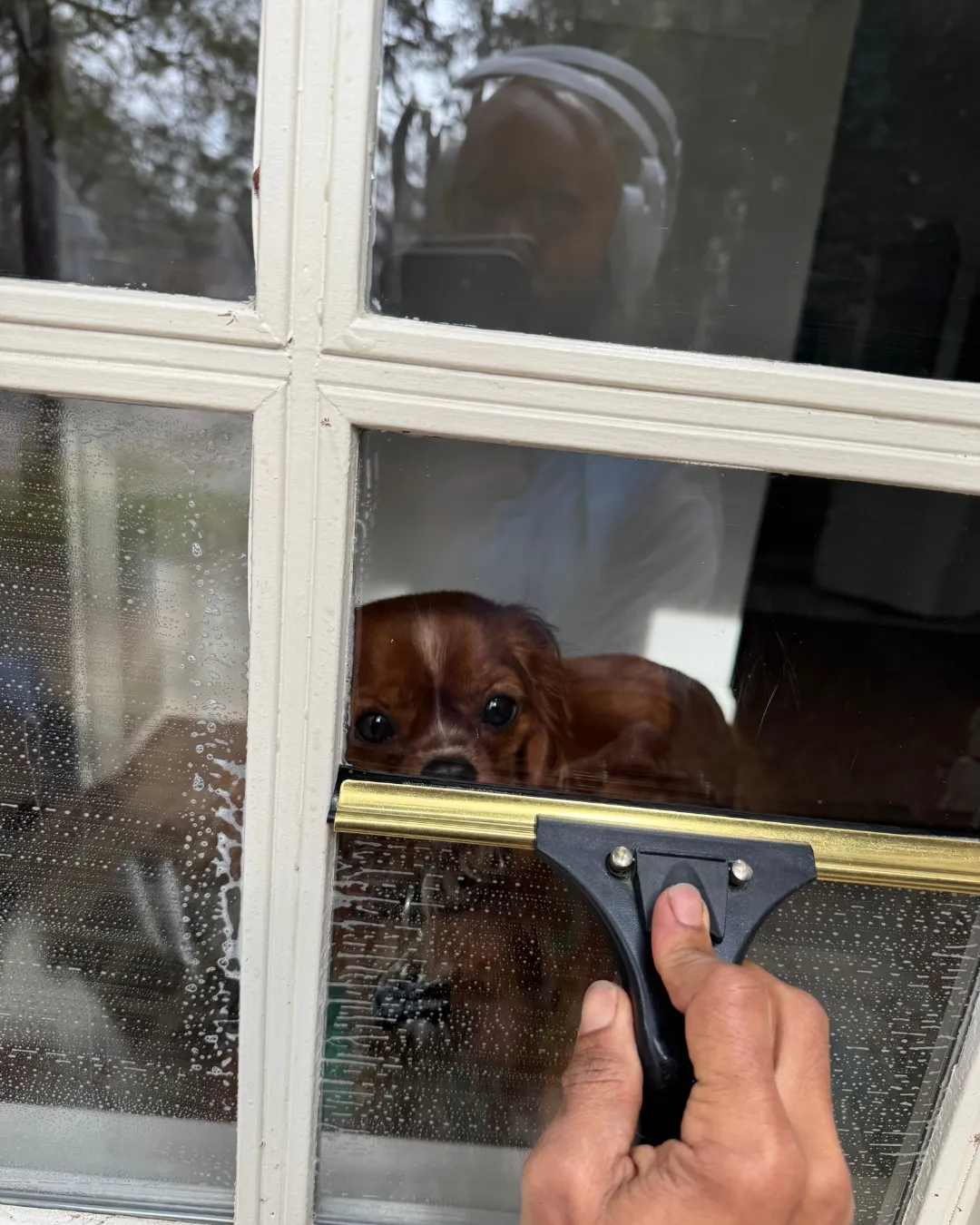 Professional window cleaner working on a residential home