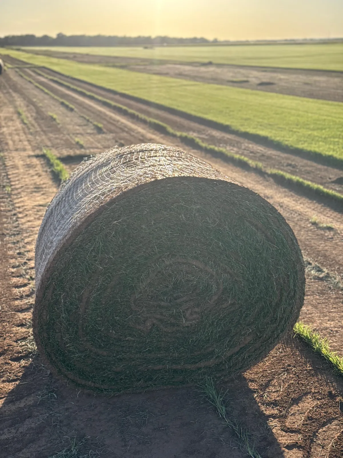 Pallets of sod for sale at NZ Sod Farms ready for pickup or delivery