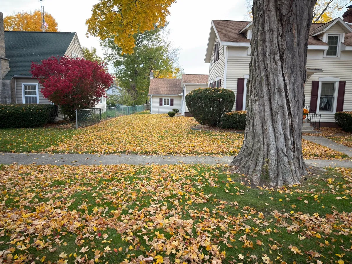 Before Fall Clean Up by Grand Impressions