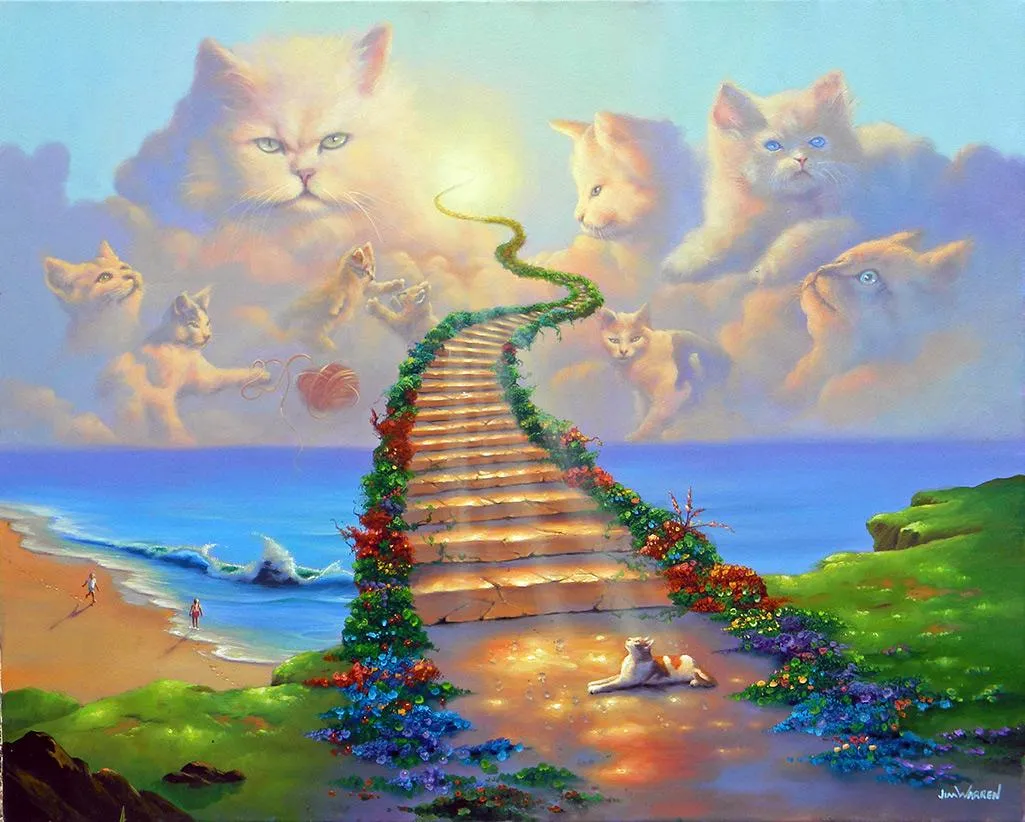 Rainbow Bridge for Cats