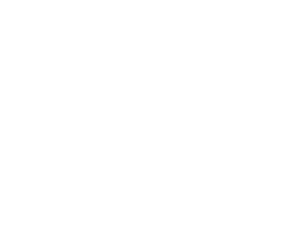 Bike Exterior Detailing
