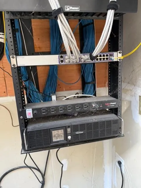 Business Network Management in 