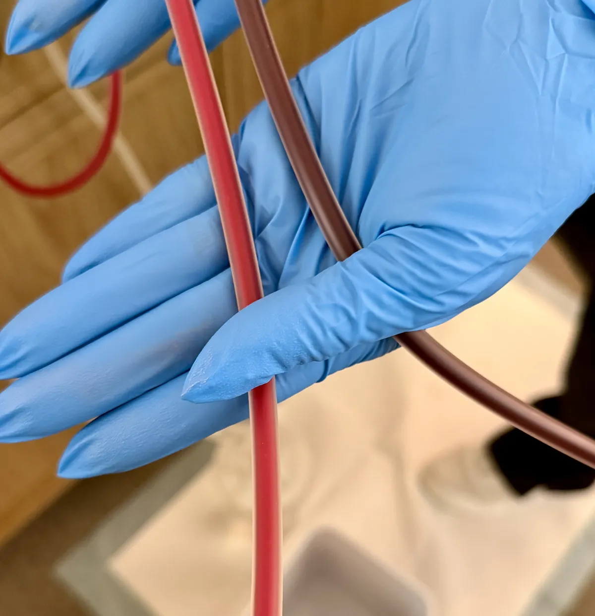 Blue-gloved hands holding red and dark tubing