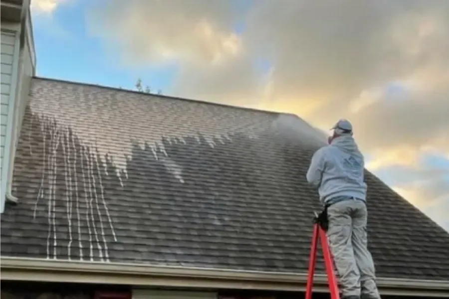Roof Moss Removal Surrey, BC | Cost, Timing & Soft Wash Guide (2026)