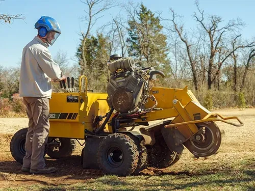 Professional-Stump-Grinder-Tree-Service